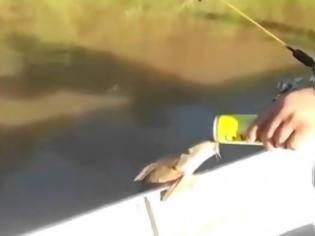 Φωτογραφία για Απίστευτο βίντεο: Ψάρι βγήκε από τη θάλασσα για να πιει... μπύρα! [video]