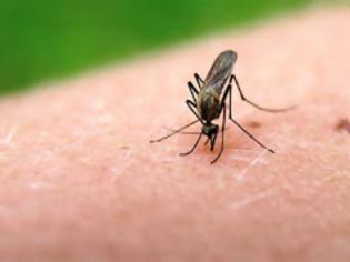 Φωτογραφία για Έτσι θα απομακρύνετε τα κουνούπια με φυσικό τρόπο