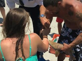 Φωτογραφία για Σοκ στις ΗΠΑ: Καρχαρίας επιτέθηκε σε 23χρονη και καρφώθηκε πάνω της [photos]