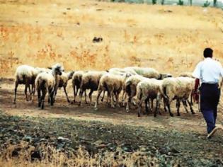 Φωτογραφία για Ανάστατοι οι κτηνοτρόφοι! Εκτός ενεργοποίησης 210.000 στρέμματα!
