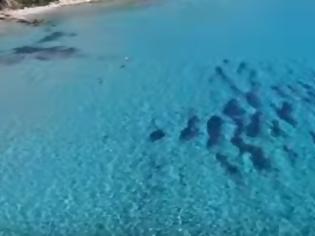 Φωτογραφία για Οι Τιρκουάζ Παραλίες στους Αγίους Αποστόλους Ευβοίας από ψηλά. Μόλις 2 ώρες από την Αθήνα! [video]