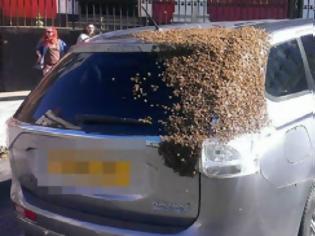 Φωτογραφία για Χιλιάδες μέλισσες ακολουθούσαν αυτοκίνητο επί δύο μέρες γιατί μέσα είχε εγκλωβιστεί η βασίλισσά τους [φωτό]