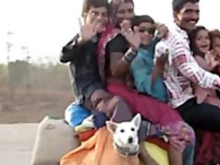 Φωτογραφία για Εξαμελής οικογένεια πάει ταξίδι μαζί με το σκύλο πάνω σε ένα... δίκυκλο [video]
