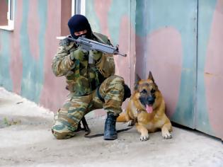 Φωτογραφία για Πρόγραμμα εργασίας συνοδών στρατιωτικά εκπαιδευμένων σκύλων