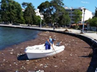 Φωτογραφία για Βόλος: Είκοσι τόνοι σκουπίδια κατέληξαν στη θάλασσα από την κακοκαιρία