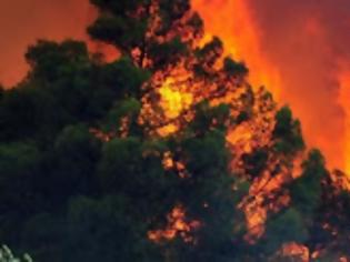 Φωτογραφία για Καλά κρατεί η μεγάλη φωτιά στην Κίσσαμο- Στάχτη εκατοντάδες στρέμματα δάσους