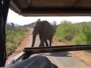 Φωτογραφία για Επίθεση ελέφαντα στο τζιπ του Σβαρτσενέγκερ [video]
