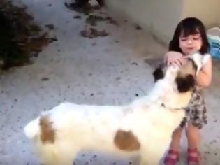 Φωτογραφία για Μάθετε στα παιδιά σας να αγαπούν και να σέβονται τα ζώα... [video]