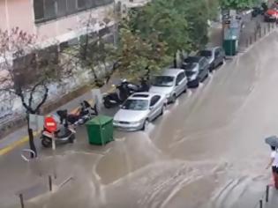Φωτογραφία για Κάδος στη Θεσσαλονίκη περνάει με κόκκινο φανάρι την Τσιμισκή [video]