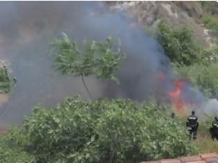 Φωτογραφία για Σε ύφεση η φωτιά στην Κνωσό-Δεκάδες στρέμματα έχουν γίνει… στάχτη [photos]