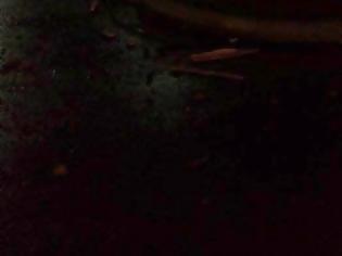 Φωτογραφία για Ναύπακτος: Κεραυνός έπεσε πάνω σε πλατάνι στο Γρίμποβο