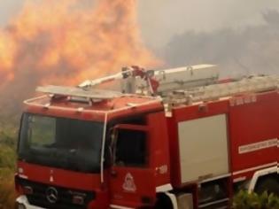 Φωτογραφία για 18 στρέμματα γης έγιναν… στάχτη – Τρία μέτωπα αντιμετώπισαν σήμερα οι Πυροσβέστες