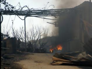 Φωτογραφία για Υπό έλεγχο τέθηκε η φωτιά στη Ρόδο - Απίστευτες ζημιές και καταστροφές