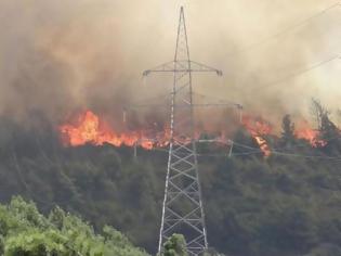 Φωτογραφία για Μαίνεται η μεγάλη φωτιά στην Κύπρο - Νεκρός και 2ος δασοπυροσβέστης – ΦΩΤΟ - ΒΙΝΤΕΟ