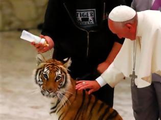 Φωτογραφία για Ο Πάπας συνάντησε τίγρη στο Βατικανό! [video]