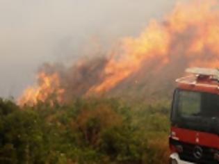 Φωτογραφία για Kρήτη: Στο πόδι η πυροσβεστική για το ενδεχόμενο νέας φωτιάς