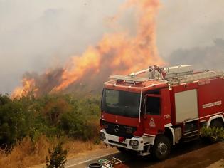 Φωτογραφία για ΠΥΡΙΝΑ ΜΕΤΩΠΑ ΣΕ ΕΥΒΟΙΑ, ΗΛΕΙΑ ΚΑΙ ΒΟΙΩΤΙΑ