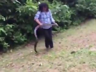 Φωτογραφία για ΑΠΙΣΤΕΥΤΟ! Ορμάει και πιάνει το φίδι χωρίς δισταγμό και... [video]