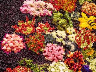 Φωτογραφία για “Zωντανός” πίνακας με 25.000 λουλούδια! [photos]