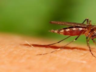 Φωτογραφία για Ορίστε τι να κάνετε για να μην σας τσιμπάνε τα κουνούπια!