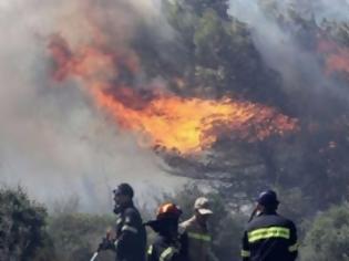 Φωτογραφία για Συνελήφθησαν 2 άτομα για την πυρκαγιά που εκδηλώθηκε στην Παλιά Χωματερή Σάμου