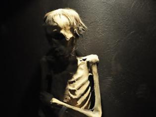 Φωτογραφία για Το πιο μακάβριο θέαμα που έχετε δει! Περισσότερα από εκατό μουμιοποιημένα ανθρώπινα πτώματα σε Μουσείο στο Μεξικό