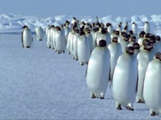 Φωτογραφία για Τα άσχημα νέα για τους πιγκουίνους που ΠΡΕΠΕΙ να μάθουμε