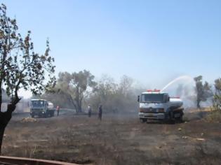 Φωτογραφία για Άμεση αντίδραση του Δήμου Αμαρουσίου στην κατάσβεση της πυρκαγιάς που εκδηλώθηκε σε οικόπεδο στο Πολύδροσο Αμαρουσίου