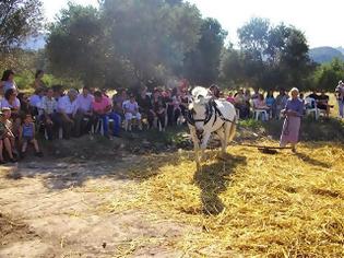 Φωτογραφία για Με την στήριξη της ΠΕ Ηρακλείου η αναβίωση του Αλωνίσματος