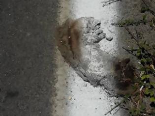 Φωτογραφία για Εβαψαν τη διαγράμμιση του δρόμου και μαζί τα...νεκρά ζώα στις Κάτω Αρχάνες [ΣΚΛΗΤΕΣ ΕΙΚΟΝΕΣ]