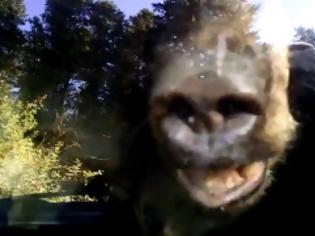 Φωτογραφία για Συγκλονιστικό βίντεο: Αρκούδα παγιδεύτηκε σε αμάξι - Δείτε τι έγινε μετά... [video]