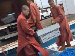 Φωτογραφία για Βουδιστές μοναχοί αγόρασαν εκατοντάδες αστακούς και τους απελευθέρωσαν στον ωκεανό