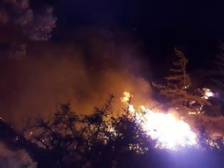 Φωτογραφία για Ανεξέλεγκτη είναι η φωτιά στο Σελάκανο στην Κρήτη! [photo]