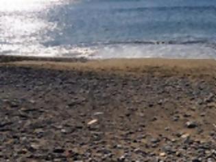 Φωτογραφία για Απίστευτο! Τι ξεβράστηκε χθες σε παραλία της Κρήτης;