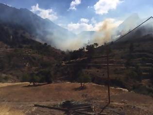 Φωτογραφία για Τα καλά νέα για τη φωτιά στο Σελάκανο στην Κρήτη