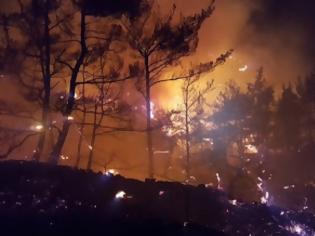 Φωτογραφία για Τεράστιες καταστροφές στο Σελάκανο – Σε ύφεση η φωτιά αλλά… με αναζωπυρώσεις