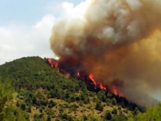 Φωτογραφία για Πυρκαγιά σε εξέλιξη αυτή την ώρα σε δασική έκταση στην Ουρανούπολη Χαλκιδικής