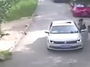 Φωτογραφία για ΒΙΝΤΕΟ - ΣΟΚ: Τίγρης κατασπάραξε γυναίκα που βγήκε από το αυτοκίνητο... [video]