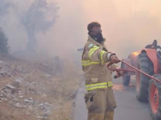 Φωτογραφία για Oλοκληρωτική καταστροφή σε καλλιέργειες από την πυρκαγιά στη Χίο!