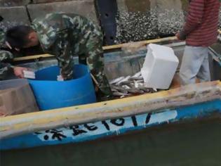 Φωτογραφία για Οι αρχές συνέλαβαν ψαράδες με ψαριά 300.000 δολαρίων σε iphone