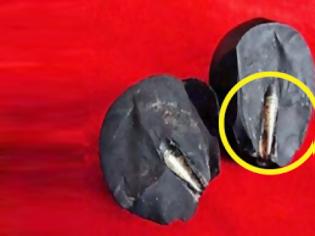 Φωτογραφία για Ανακάλυψαν βίδα εκατομμυρίων ετών σε βράχο [video]