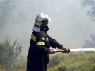 Φωτογραφία για Σε πλήρη εξέλιξη η φωτιά στα Σεχτούρια- Μάχη με τις φλόγες για να τεθεί υπό έλεγχο