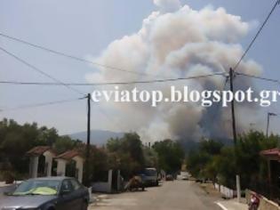 Φωτογραφία για Φωτογραφίες από τη φωτιά στη βόρεια Εύβοια