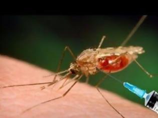 Φωτογραφία για Ηλεία - Αχαΐα: Στις ζώνες υψηλού κινδύνου για εκδήλωση επιδημίας ελονοσίας