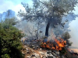 Φωτογραφία για Πυρκαγιά έχει ξεσπάσει στην περιοχή Αγία Κυριακή στην Βαρυμπόμπη Αττικής!