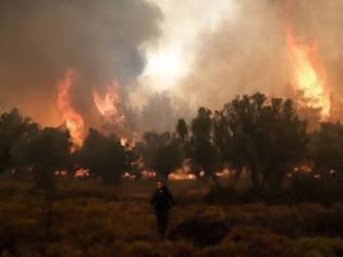 Φωτογραφία για Δεν μαθαίνουν οι Κύπριοι- Διαβάστε για ποιο λόγο ξέσπασαν οι πυρκαγιές στην Πάφο