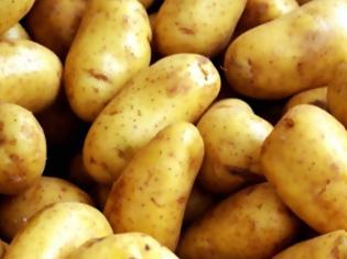 Φωτογραφία για Πότε μπορούν να προκαλέσουν δηλητηρίαση οι πατάτες...;
