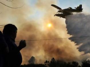 Φωτογραφία για Καίγεται η Πορτογαλία: 79 πυρκαγιές στο βόρειο τμήμα της χώρας