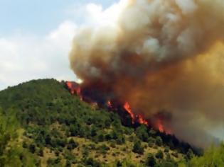 Φωτογραφία για Συναγερμός  στη Βοιωτία! Πυρκαγιά εκδηλώθηκε πριν από λίγη ώρα σε αγροτοδασική έκταση