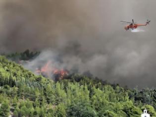 Φωτογραφία για Υπό μερικό έλεγχο η δασική πυρκαγιά στην περιοχή Κόκκινο στη Βοιωτία